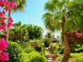 097 - Monte Marina / Fuerteventura